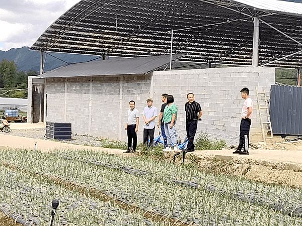 重慶市豐都縣武平鎮(zhèn)招商引資助推鄉(xiāng)村振興 鄉(xiāng)村振興 第2張